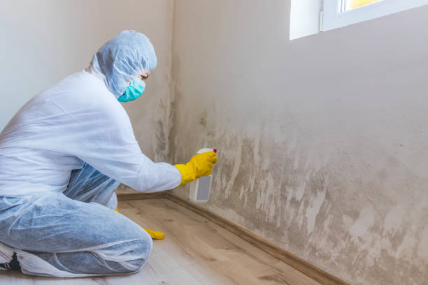 Hvac And Air Duct Mold Remediation inspection of HVAC system in Schwenksville