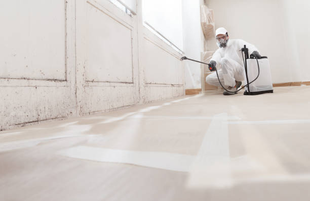Black mold remediation team in Schwenksville
